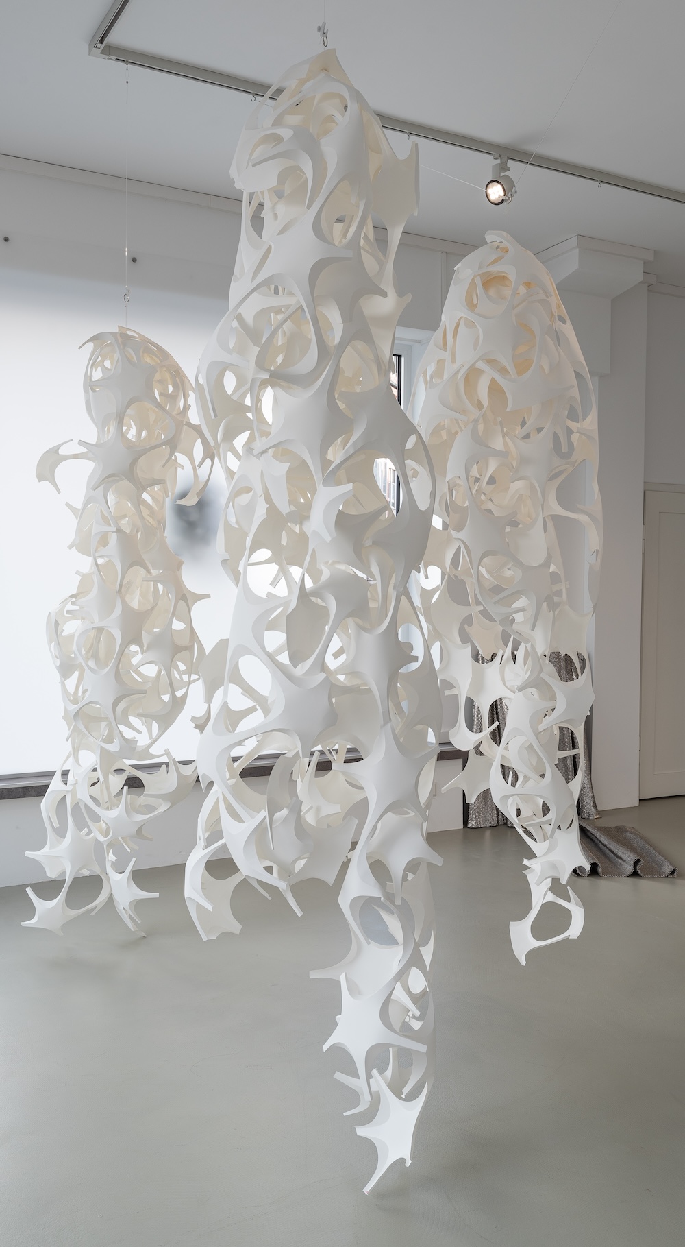 Ramalinas 2024/25 von Beate Christine Winkler