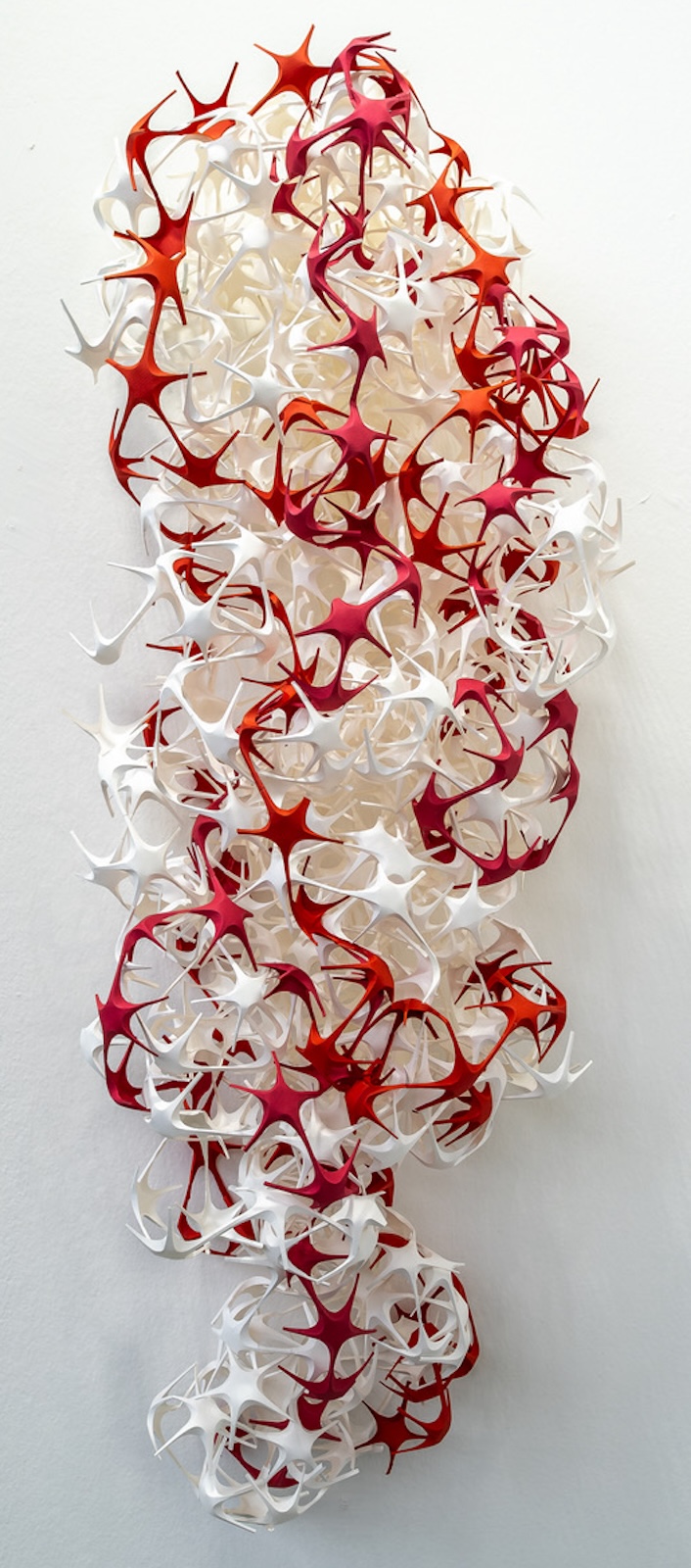 corymbia 2026 von Beate Christine Winkler