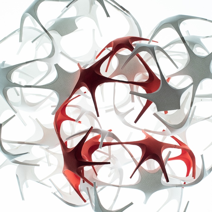 corymbis 2026 von Beate Christine Winkler